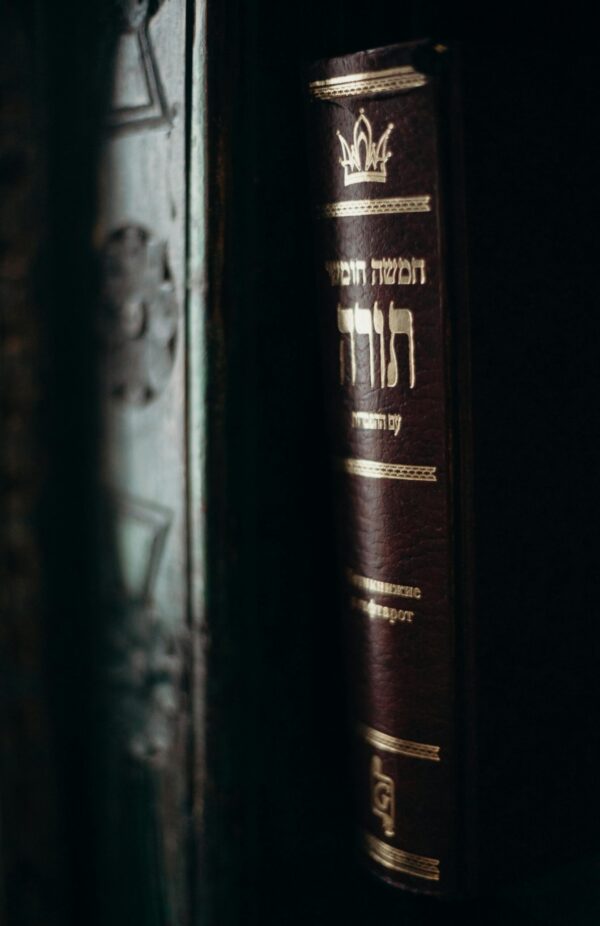 משפטי צדק